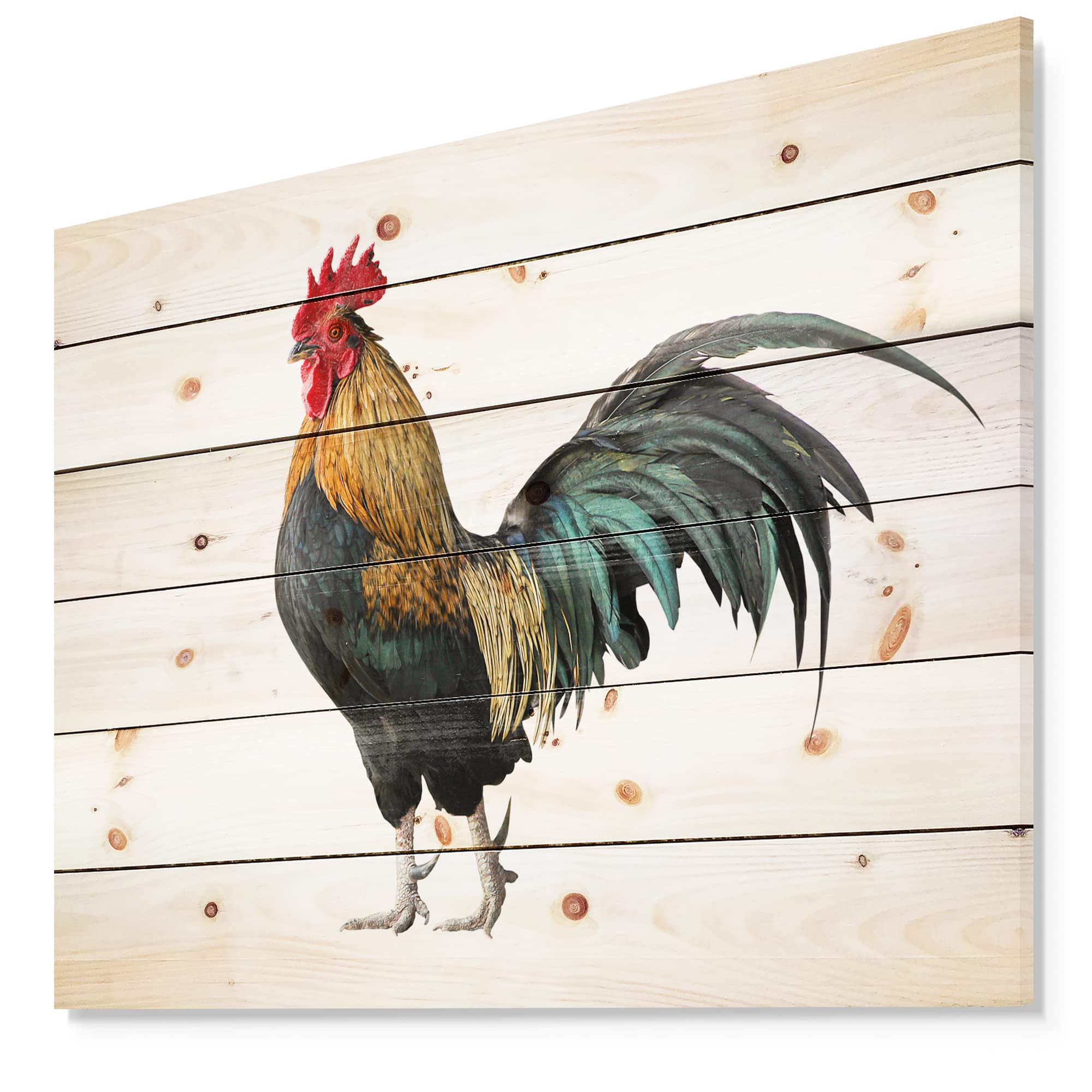Chicken Rooster Traditional Wood Wall Decor - White Wood Wall Art for Farmhouse & Rustic Home Decor - Large Animal Wood Panels Printed on Natural Pine Wood - Perfect for Living Room, Kitchen & Country Style Interiors