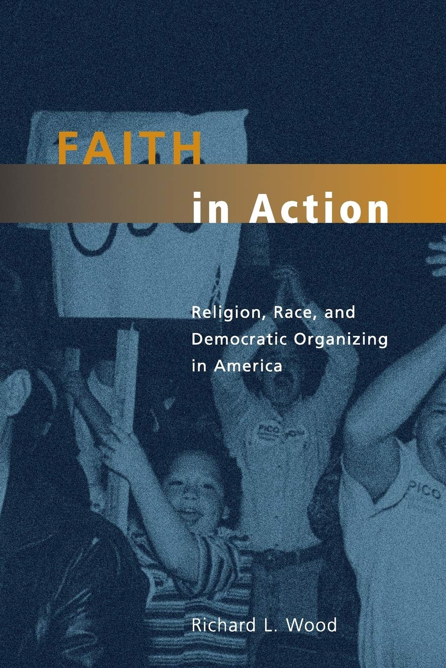 Faith in Action: Religion, Race, and Democratic Organizing in America - Morality and Society Series Book | Political Science & Social Justice Reading | Perfect for Academics, Activists, and Book Clubs
