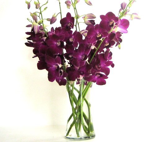Fresh Purple Dendrobium Orchid Bouquet with Glass Vase - Elegant Home Decor, Wedding Centerpiece, Office Gift
