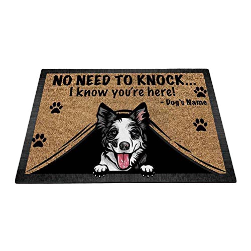 Border Collie-1