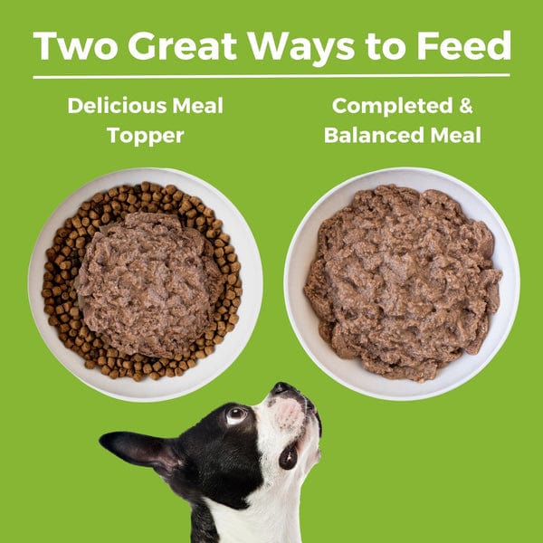 KOHA LID Duck Entrée Canned Dog Food - Grain-Free, Limited Ingredient Diet for Dogs with Sensitive Stomachs - Perfect for Mealtime, Training Treats & Travel Feeding