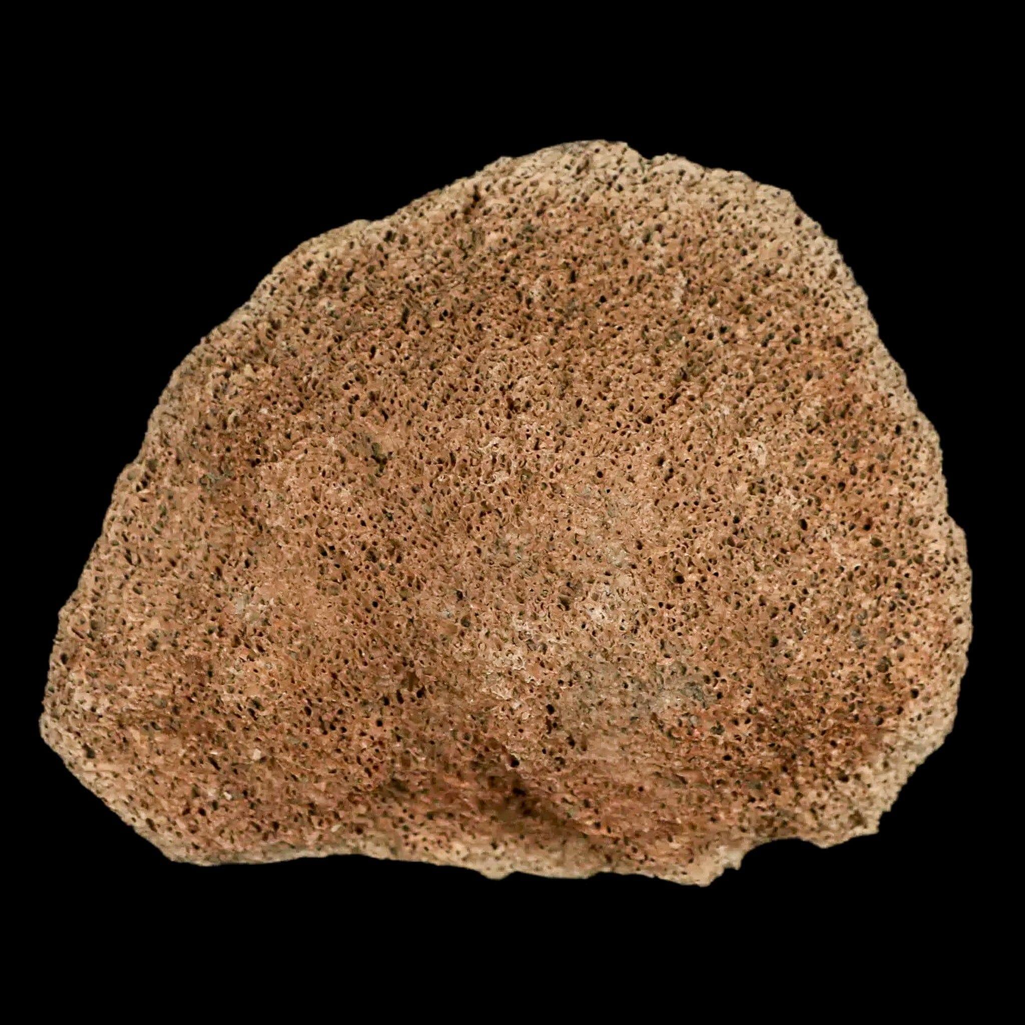 2.8