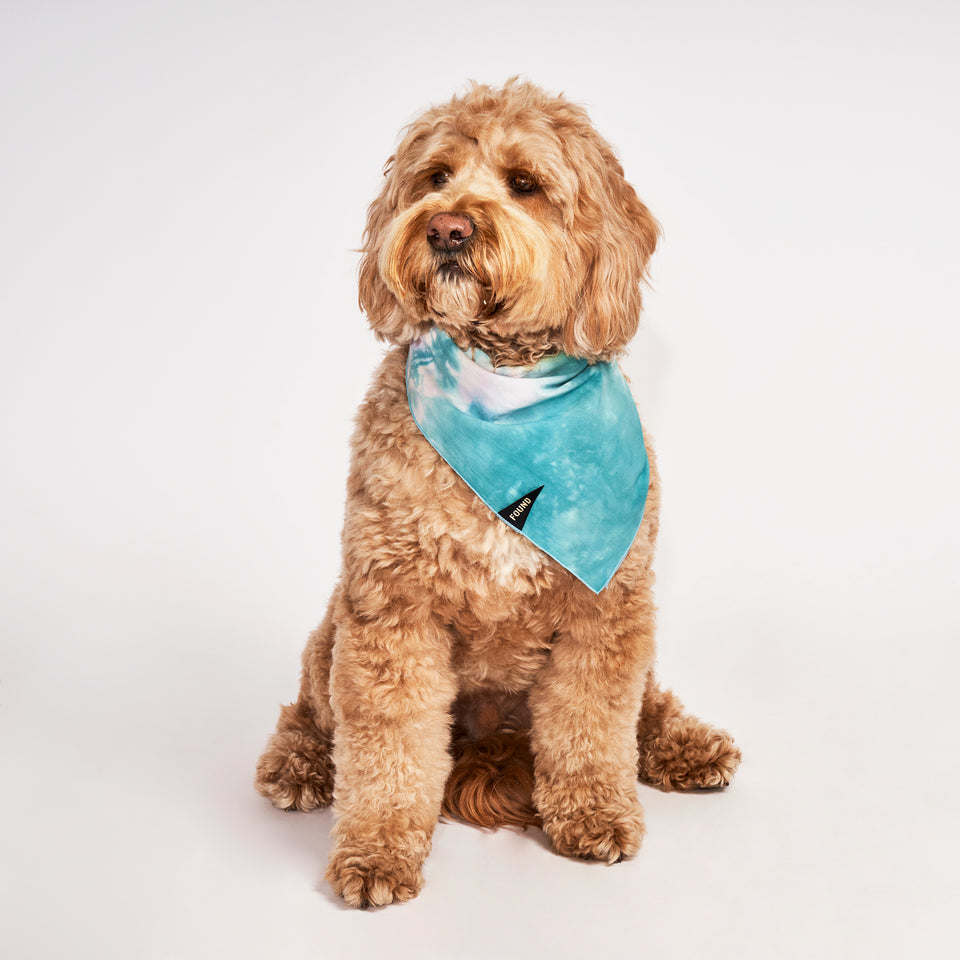Jolie Tie Dye Dog Bandana - Stylish Pet Accessory for Small & Large Dogs - Perfect for Walks, Photos & Special Occasions