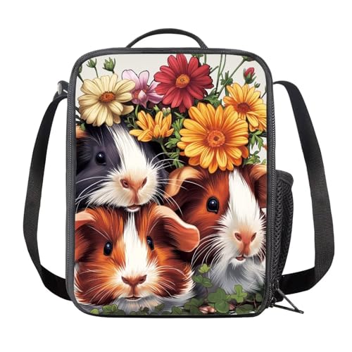 guinea pig