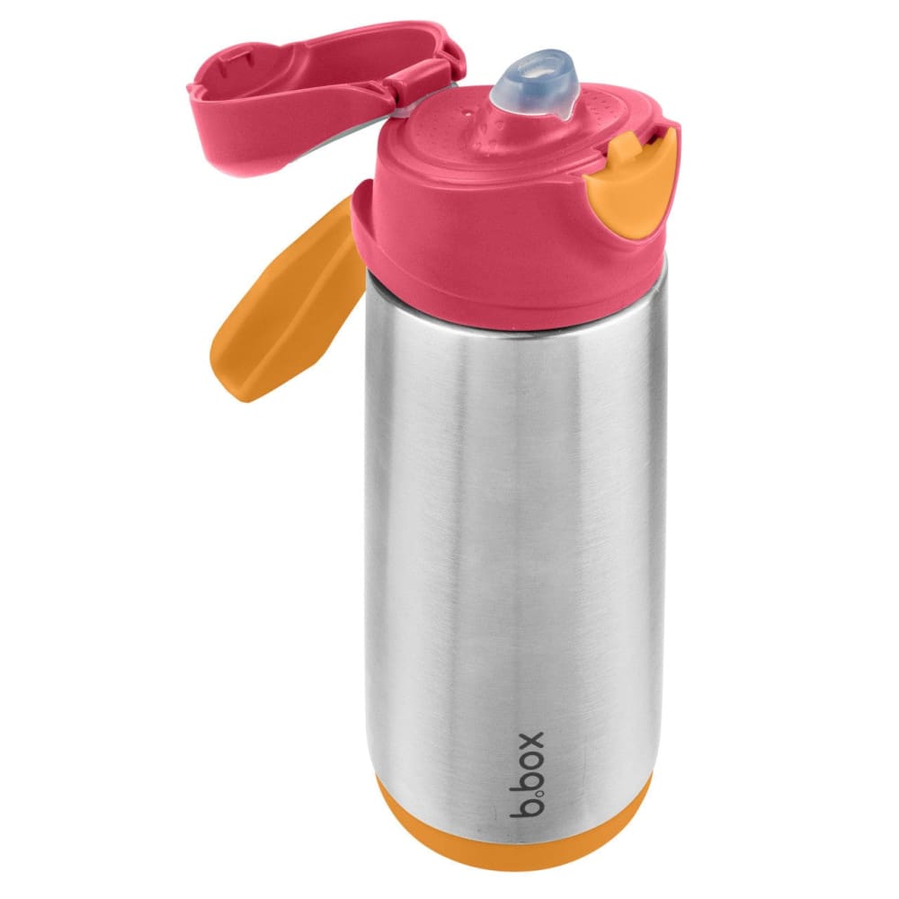 500ml Insulated Spout Drink Bottle - Leak Proof Stainless Steel Water Bottle with Straw for Kids & Adults | Perfect for School, Gym, Hiking & Outdoor Activities