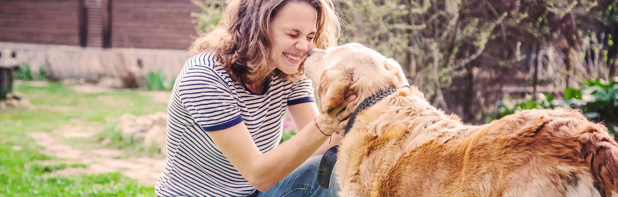 K9 Immunity Plus - Organic Mushroom Immune Support Supplement for Large Dogs Over 70 lbs | 90 Chews per Pack (Pack of 2) | Supports Canine Wellness & Vitality for Active Dogs