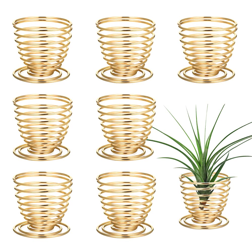 8 Pcs Stainless Steel Air Plant Holders - Gold Mini Air Fern Display Stands for Office & Home Decor - Perfect for Terrariums, Wedding Centerpieces, and Desktop Decorations