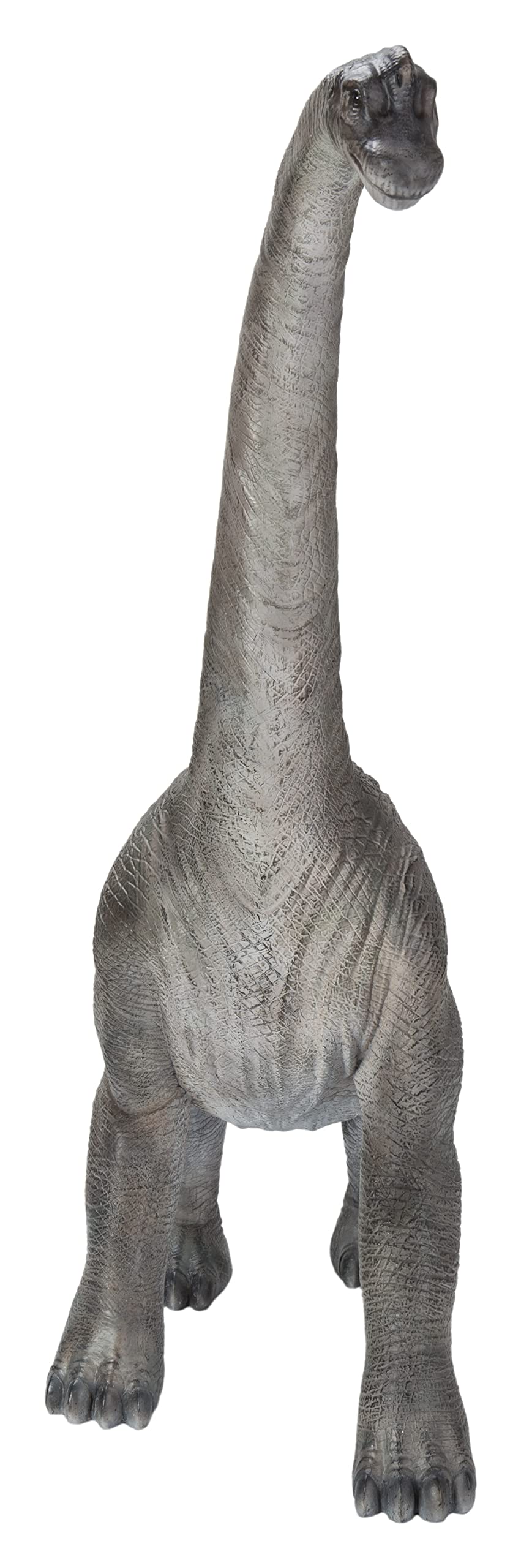 Hi-Line Gift Dinosaur Brachiosaurus Toy - Realistic Dinosaur Figure for Kids, Collectors & Educational Play | Perfect for Birthday Gifts, Classroom Learning & Jurassic-Themed Decor