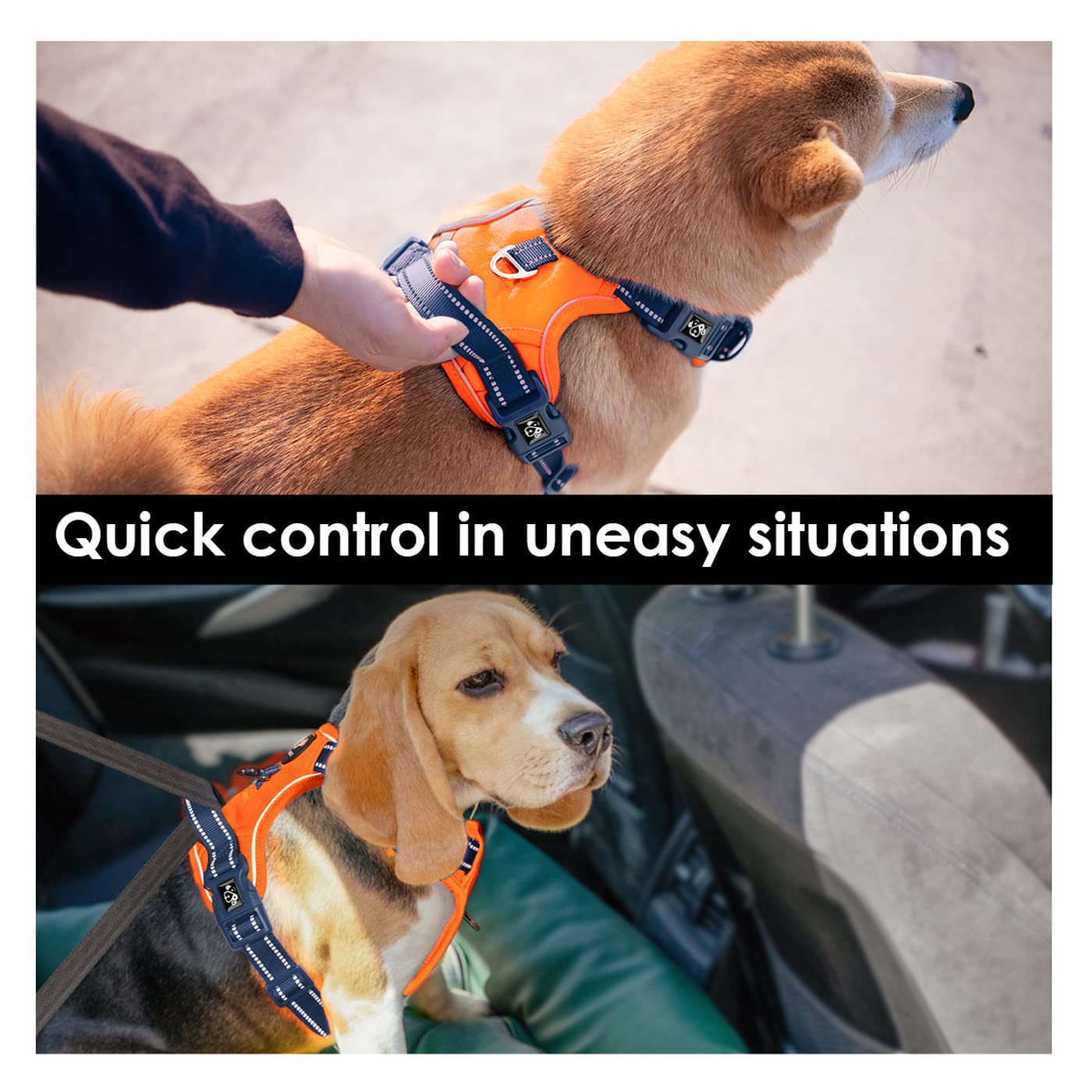 PHOEPET No Pull Reflective Adjustable Dog Harness with Soft Training Handle - Breathable Vest for Small Medium Large Dogs (Orange/Blue, Medium) | Perfect for Walking, Running & Outdoor Adventures
