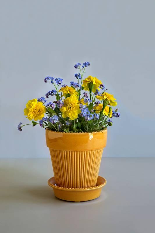 Bergs Potter Montmartre Yellow 16cm Ceramic Planter with Saucer - Perfect for Indoor Plants, Succulents, and Home Decor