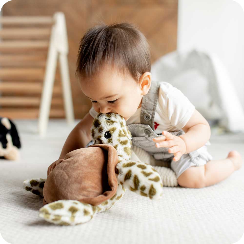Weighted Heated Turtle Stuffed Animal - Warmies Plush Toy for Stress Relief & Comfort | Perfect for Kids, Adults, Anxiety & Sleep Aid, Gift Idea