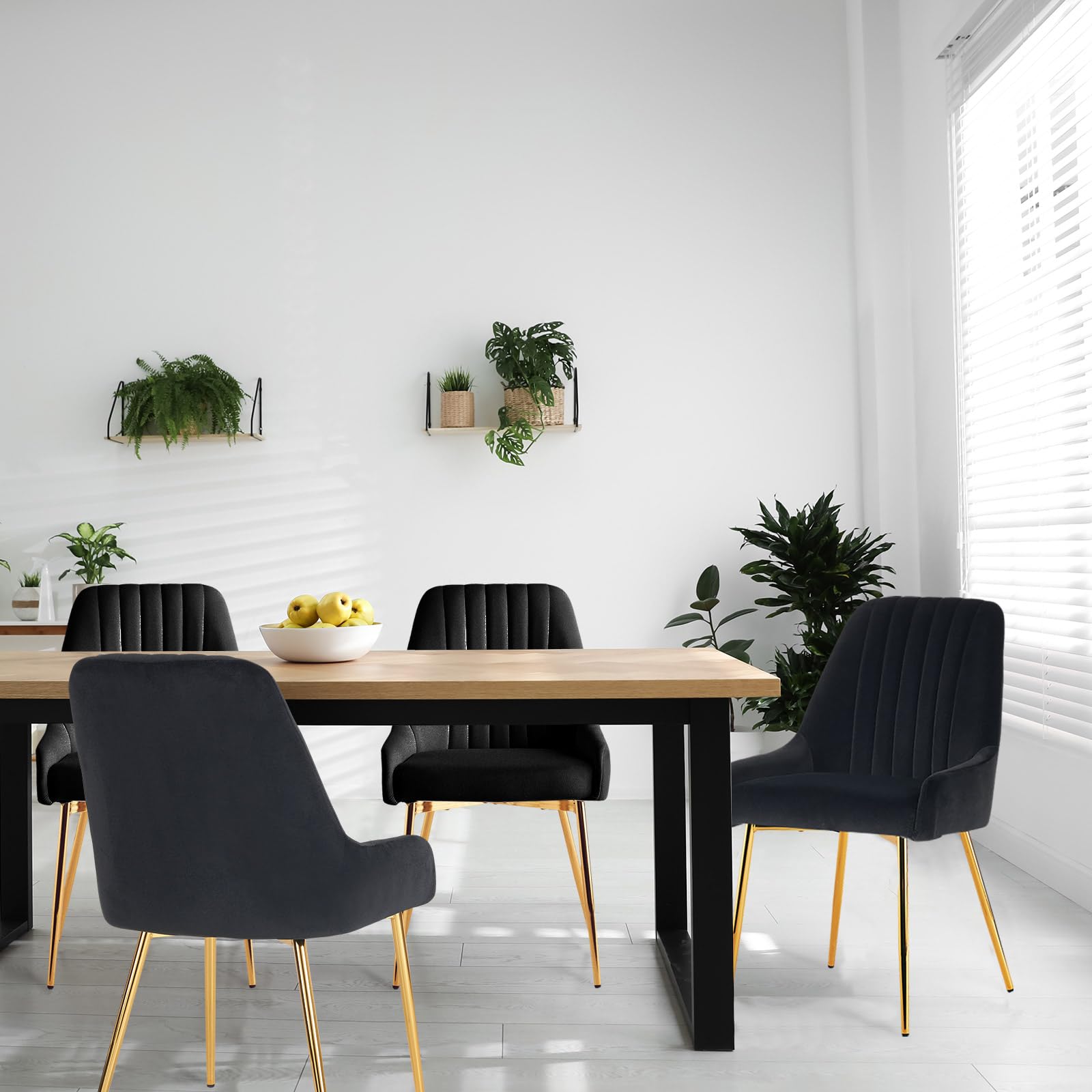 ANOUR Velvet Dining Chairs Set of 2 - Modern Upholstered Kitchen Chairs with Gold Metal Legs, Armless Accent Chairs for Dining Room, Living Room & Vanity - Soft Black Velvet Seating for Home Decor