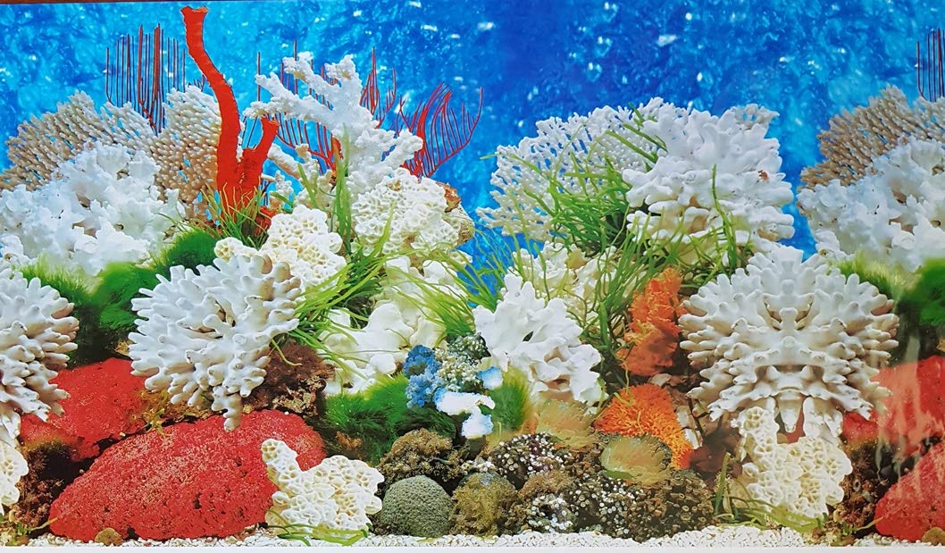 Double Sided Aquarium Background Decor 60