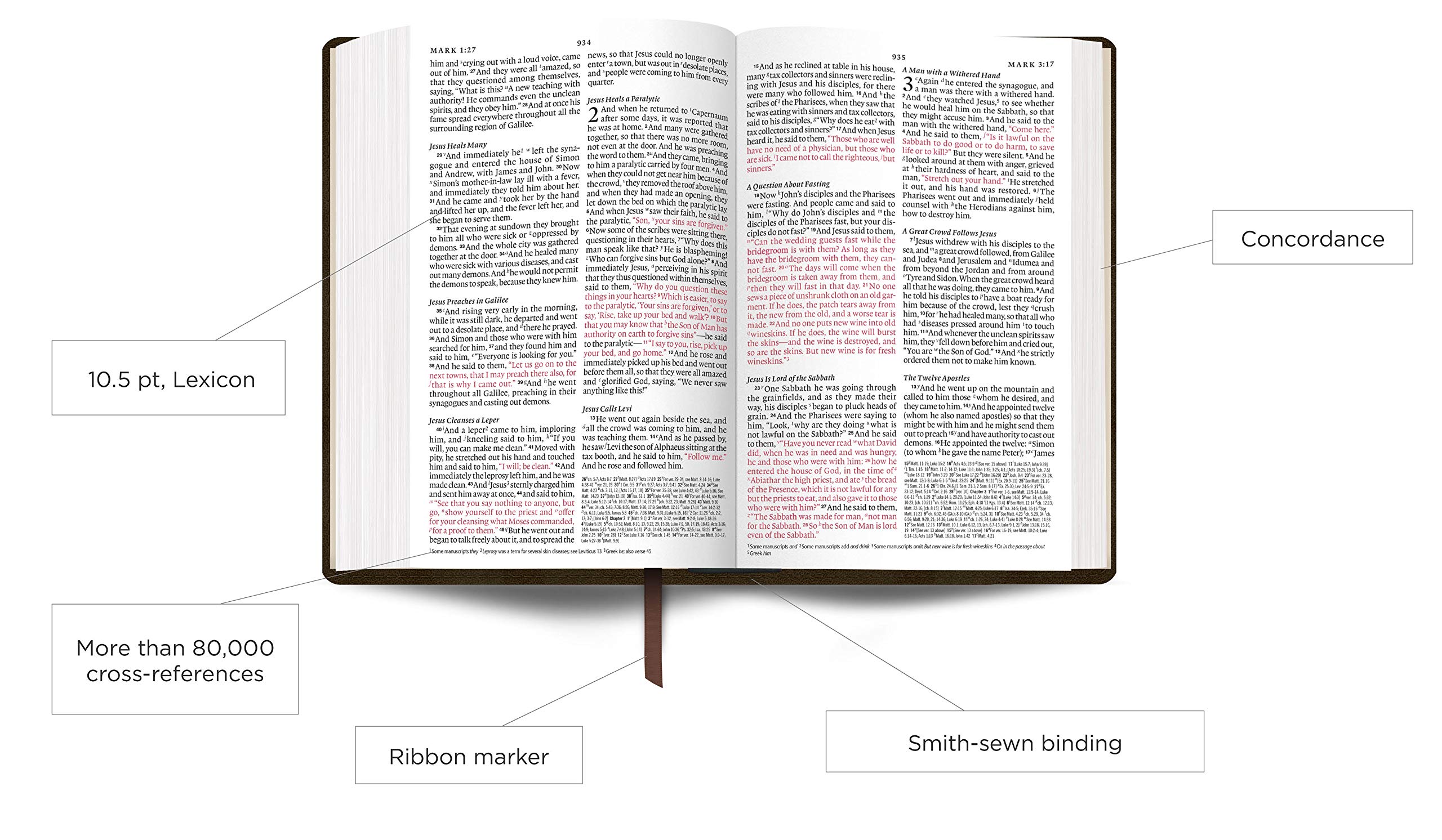 ESV Large Print Thinline Reference Bible - Brown Leather, Easy-to-Read Text, Compact & Lightweight for Travel, Church, Bible Study & Daily Devotion