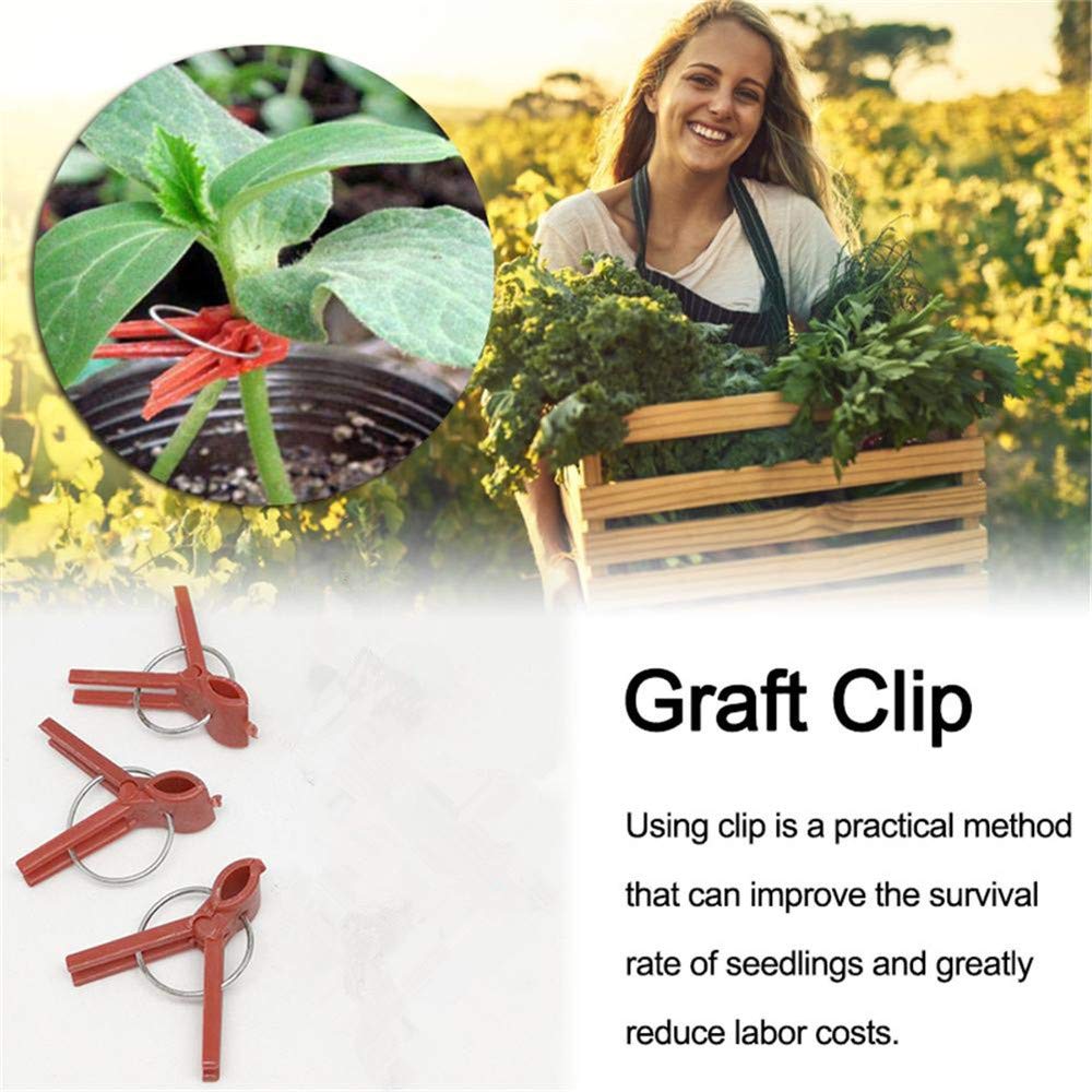 100PCS Plastic Round Mouth Grafting Clips for Plants - Gardening Tool for Cucumber, Eggplant, Tomato, Watermelon - Ideal for Home Garden, Greenhouse & Plant Propagation