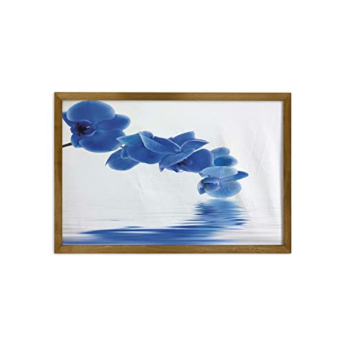 Violet Blue White