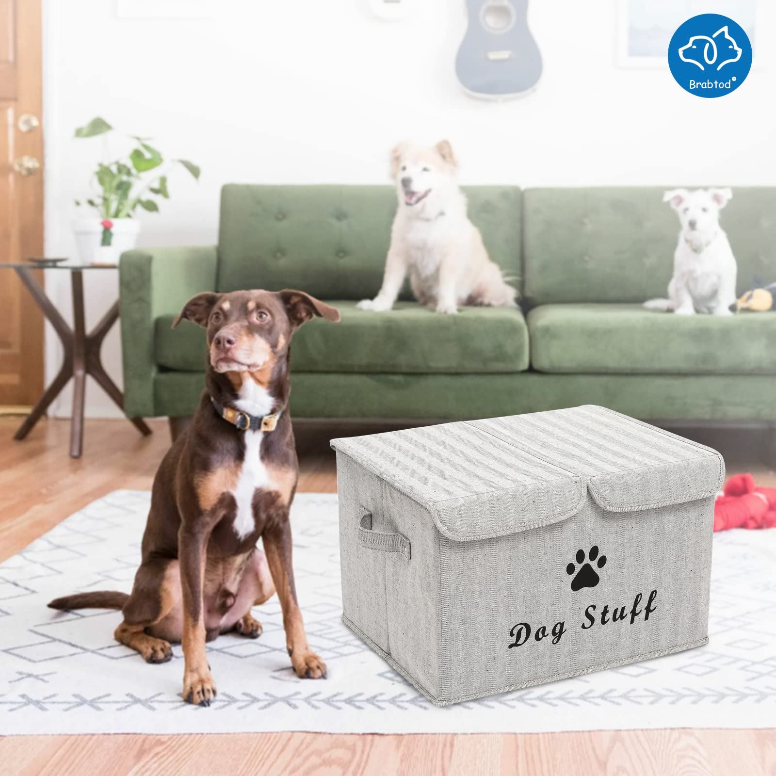 Large Dog Toy Storage Box with Lid - Collapsible Canvas Pet Organizer Basket for Dog & Cat Toys (17