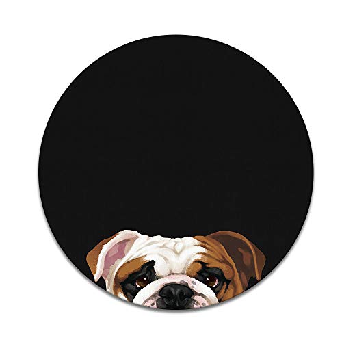 English Bulldog