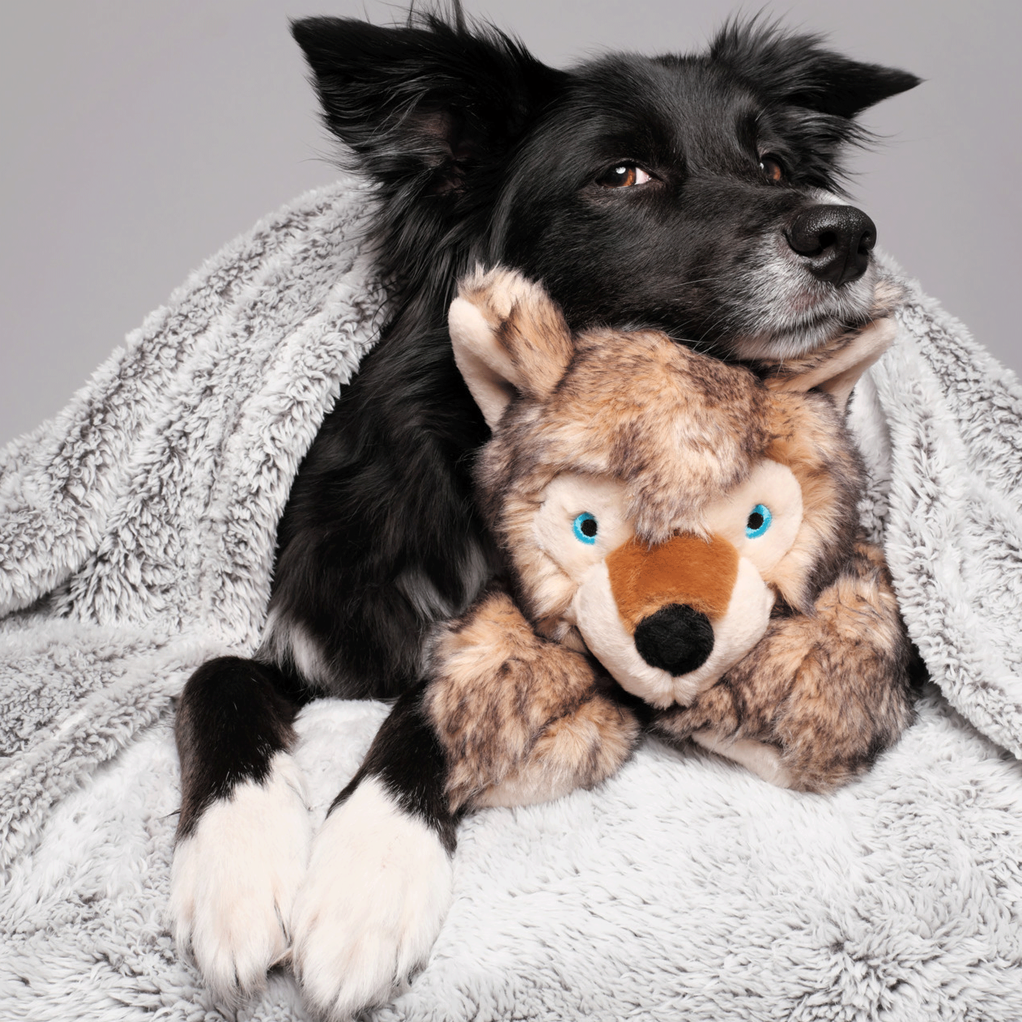 Fluff & Tuff Lobo Wolf Pup Brown Dog Toy - Durable Chew Toy for Aggressive Chewers - Perfect for Indoor & Outdoor Playtime