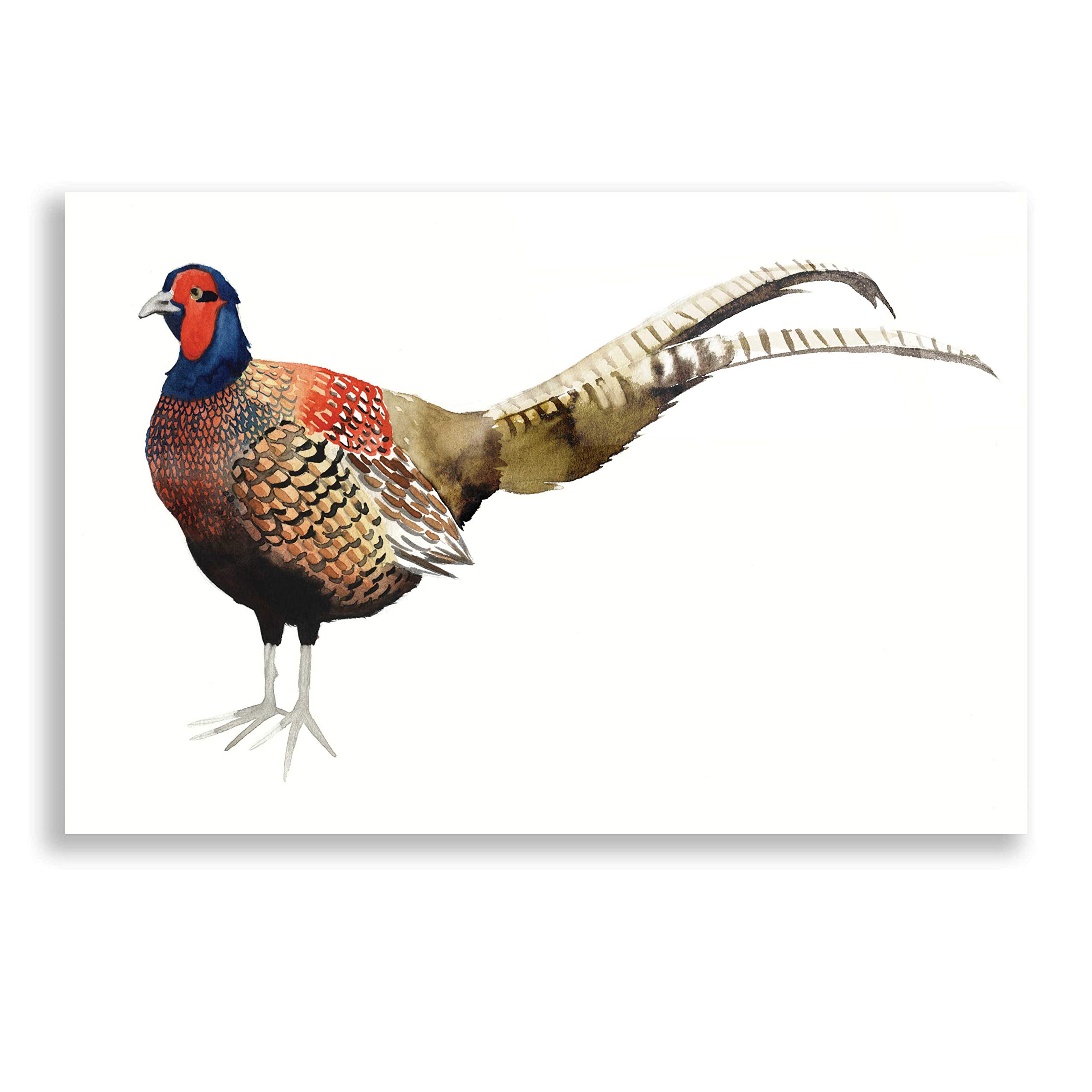Grace Popp Watercolor Pheasant II Acrylic Glass Wall Art - 24x16 Inches Modern Home Decor for Living Room, Bedroom & Office