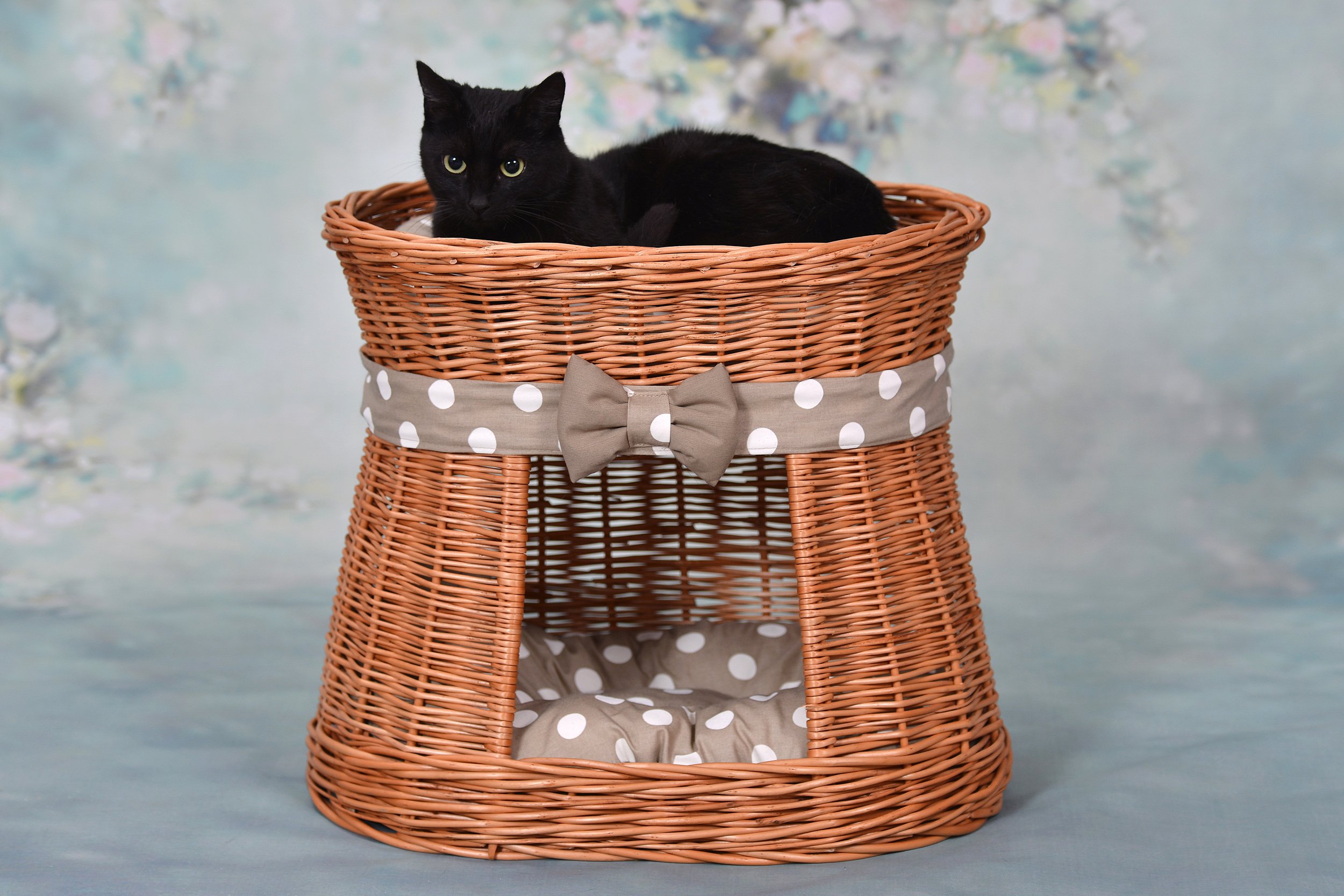 Willow Storage Basket - Natural Honey Yellow Wicker Basket - 50 x 40 x 45 cm - Perfect for Home Organization, Laundry, Toys & Blanket Storage