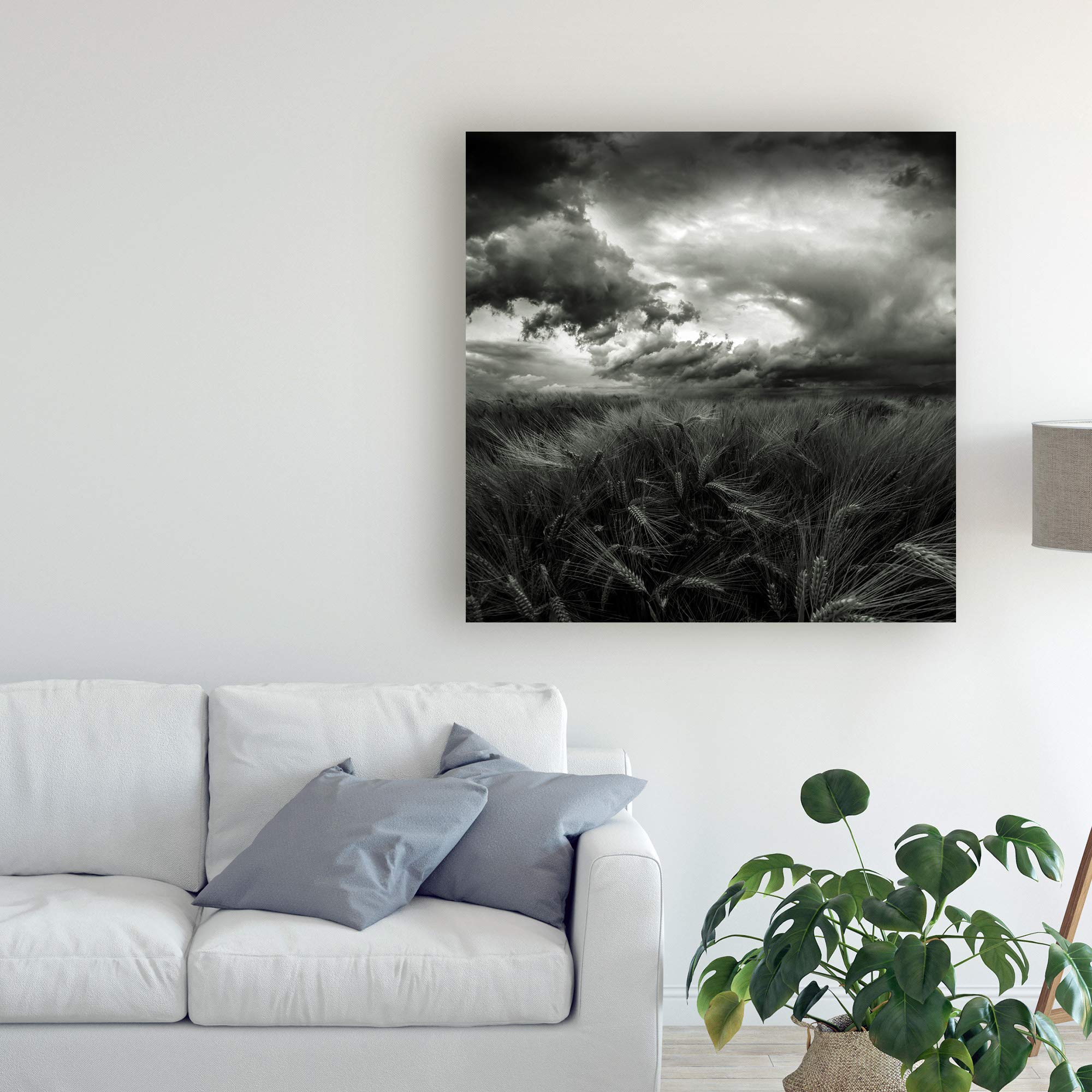 After The Storm Field by Franziskus Pfleghart - 18x18 Premium Canvas Wall Art - Handmade Landscape Painting for Living Room, Bedroom & Office Decor