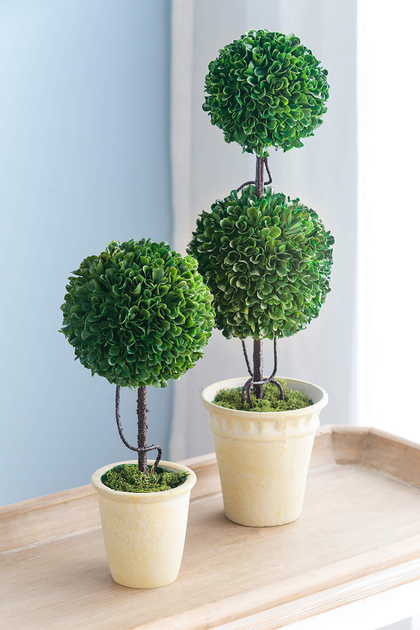 A&B Home 22
