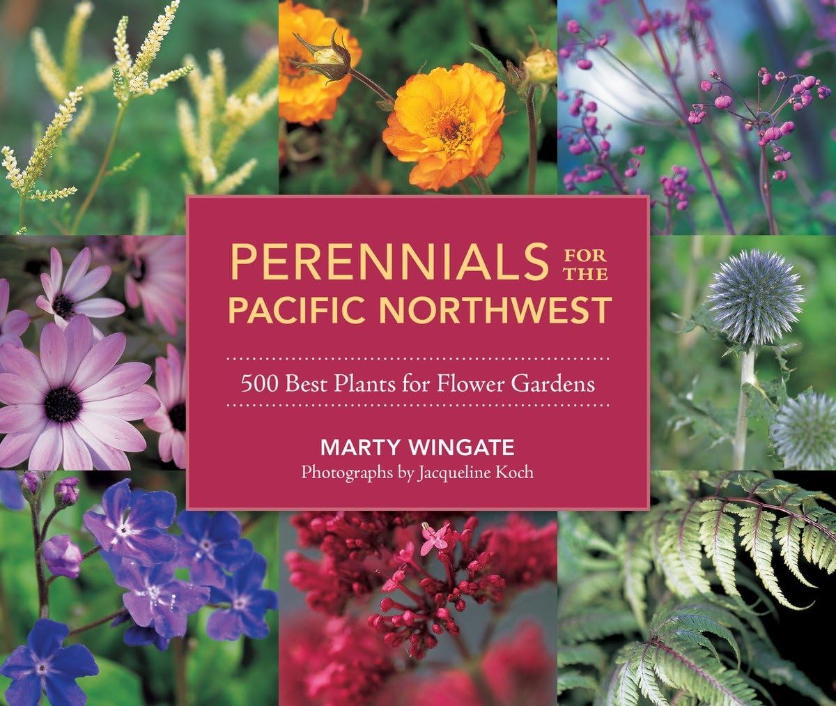 Best Perennial Plants for Pacific Northwest Flower Gardens - Top 500 Varieties for Year-Round Blooms | Perfect for Coastal Landscaping & Shade Gardens