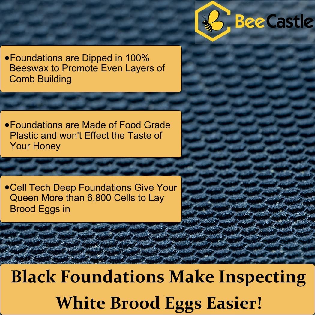 BeeCastle 8 Frame Langstroth Bee Hive Kit - 100% Beeswax Coated with 2 Deep & 2 Medium Boxes, Frames & Waxed Foundations - Perfect for Beekeeping Beginners & Honey Production