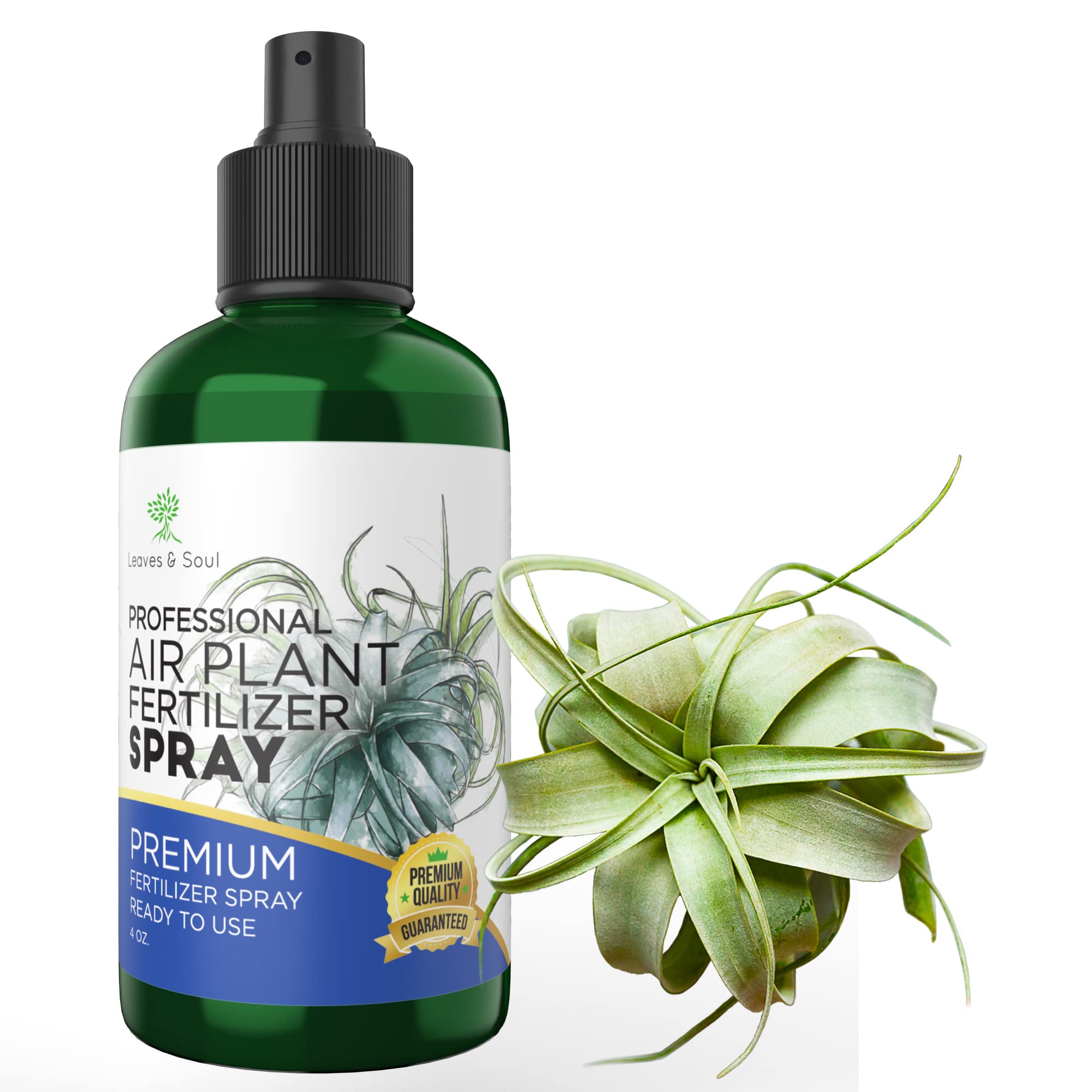 Professional Air Plant Pump Spray Fertilizer Mist | Pre-Mixed for Weekly Use | Gentle Blend & Gardening Supplies | 4 oz Bottle | Perfect for Tillandsia, Bromeliads & Indoor Plants Care