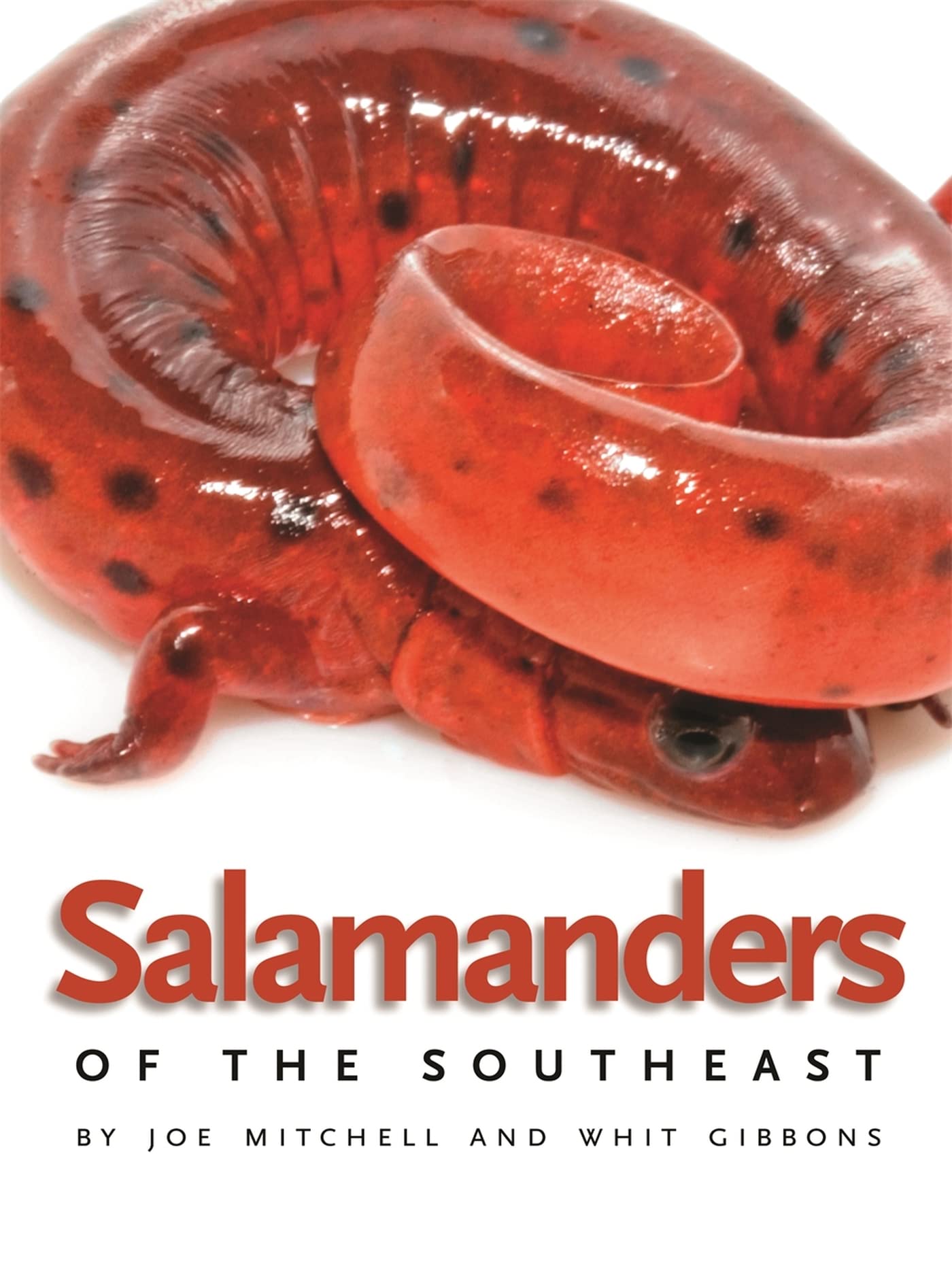 Salamanders of the Southeast - Wormsloe Foundation Nature Book | Field Guide to Southeastern Amphibians | Perfect for Hiking, Nature Study & Wildlife Enthusiasts