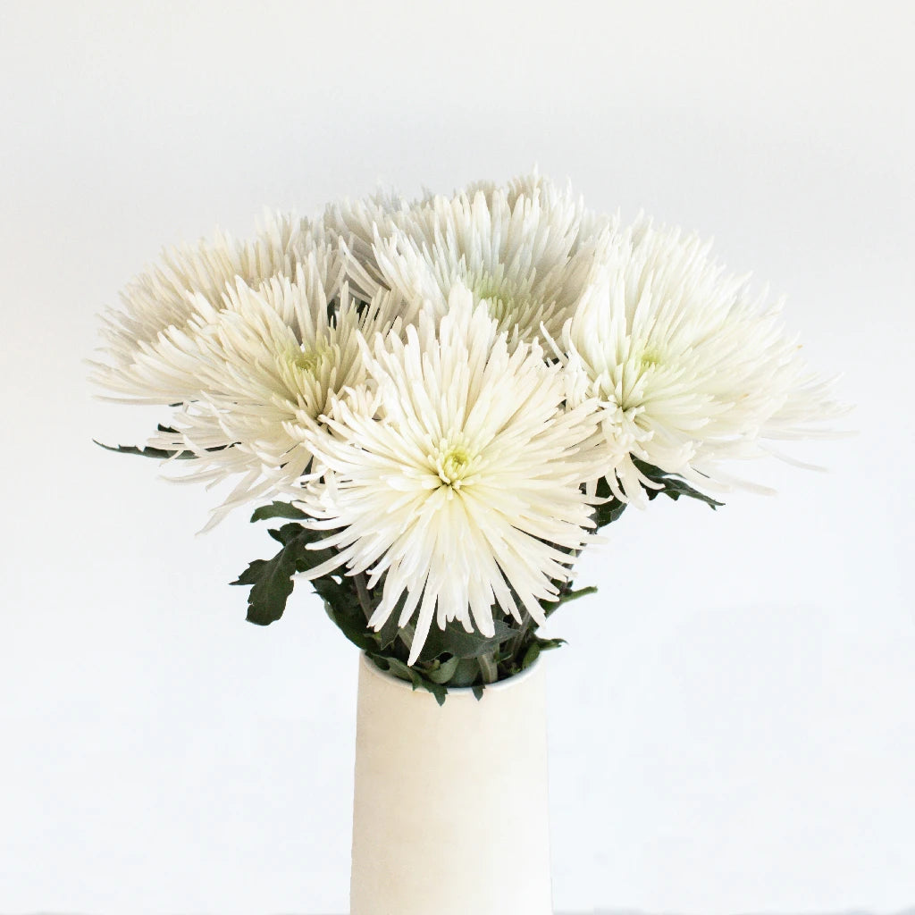 Anastasia White Spider Mum Flowers - Premium Artificial Silk Flowers for Home Decor, Wedding Bouquets, and Floral Arrangements