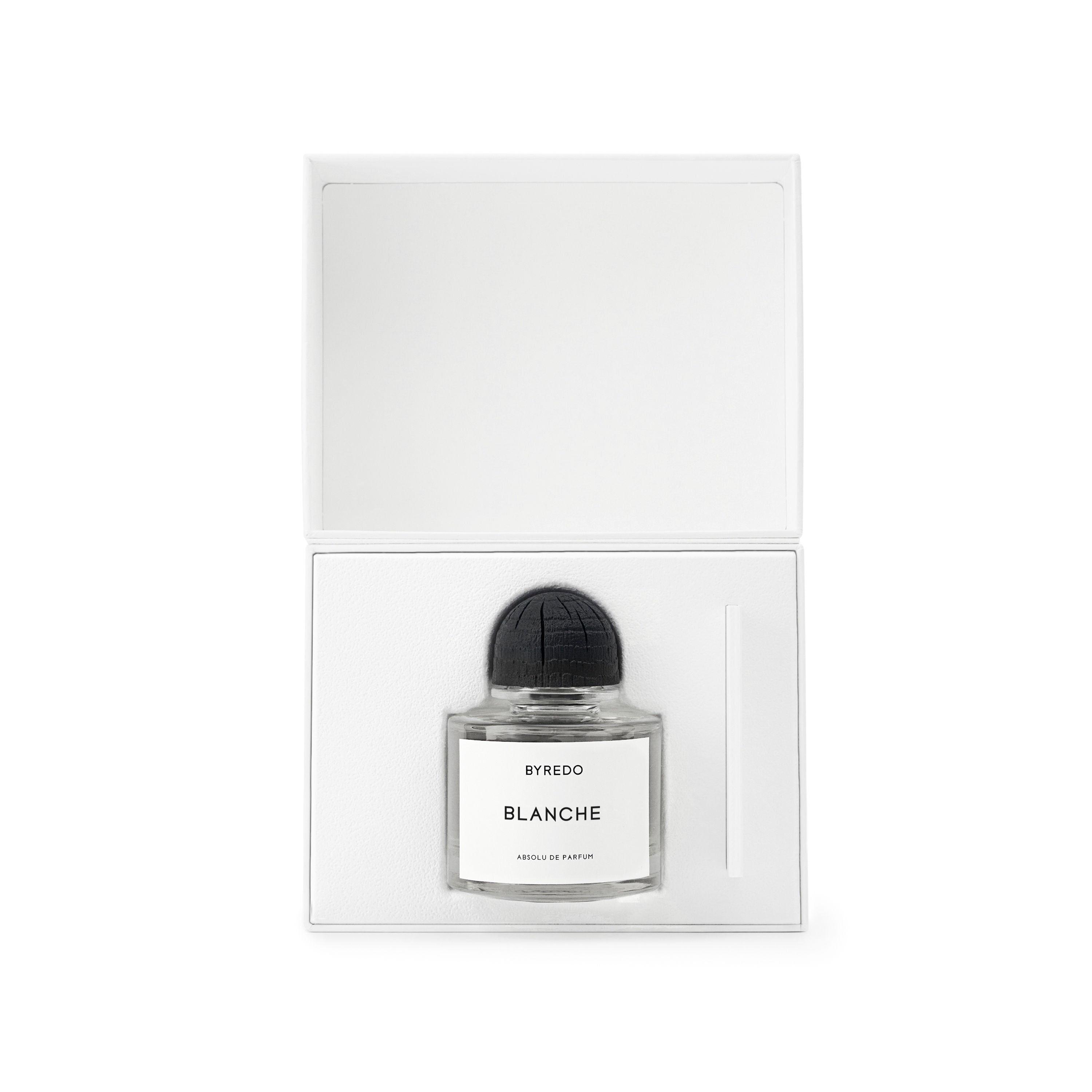 Blanche Absolu Perfume for Women - Luxury Floral Scent, Long-Lasting Fragrance - Perfect for Daily Wear, Date Nights & Special Occasions