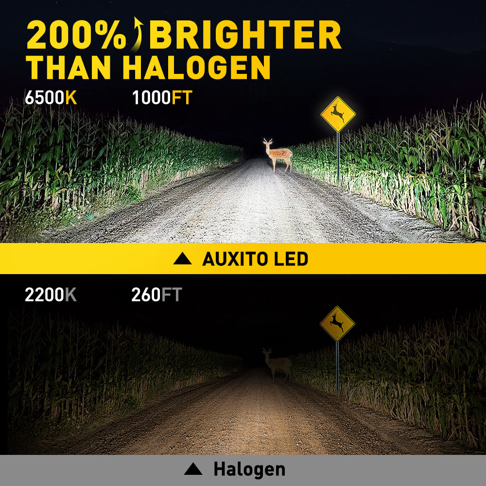 AUXITO H1 LED Headlight Bulb 6500K Cool White - Super Bright Replacement for Halogen, Perfect for Night Driving & Off-Road Vehicles