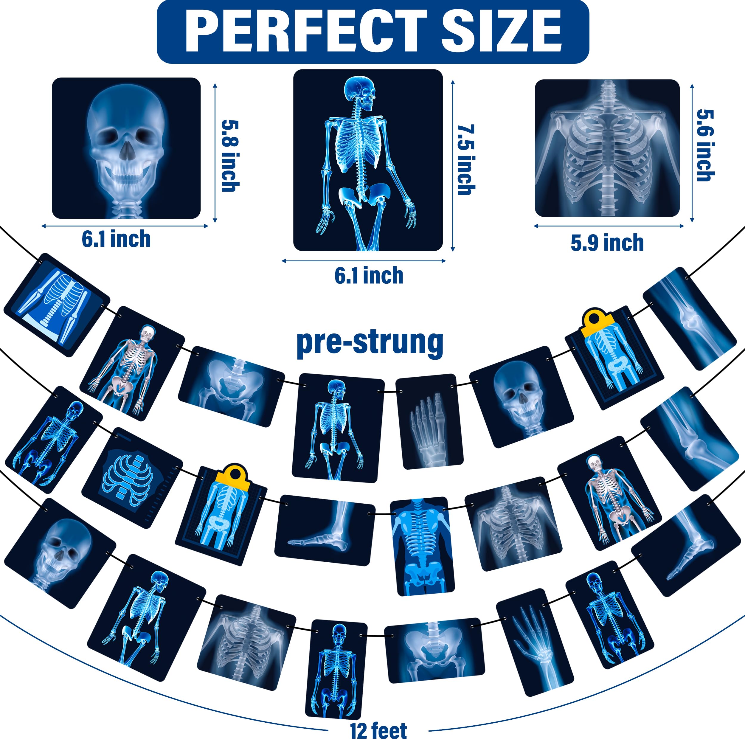 Radiology X-Ray Party Decorations - X-Ray Theme Banners & Garlands for Doctor Birthday, Medical Theme Party & Baby Shower Supplies | Perfect for Radiology Graduation, Healthcare Celebrations & Hospital-Themed Events