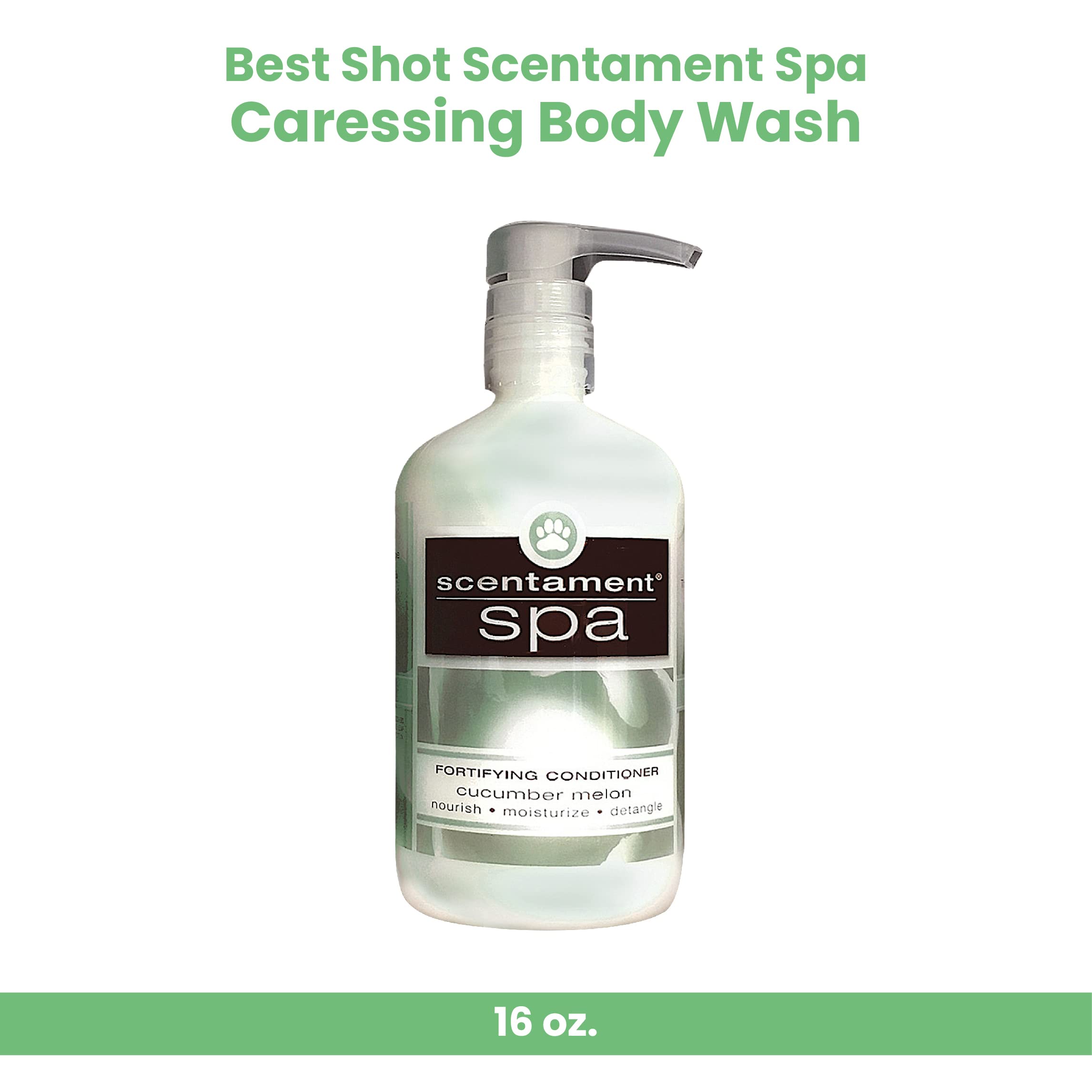 Best Shot Scentament Spa Caressing Body Wash - Cucumber Melon Scent, 16 oz - Hydrating & Relaxing Shower Gel for Women & Men - Perfect for Daily Use, Spa Days & Gift Giving
