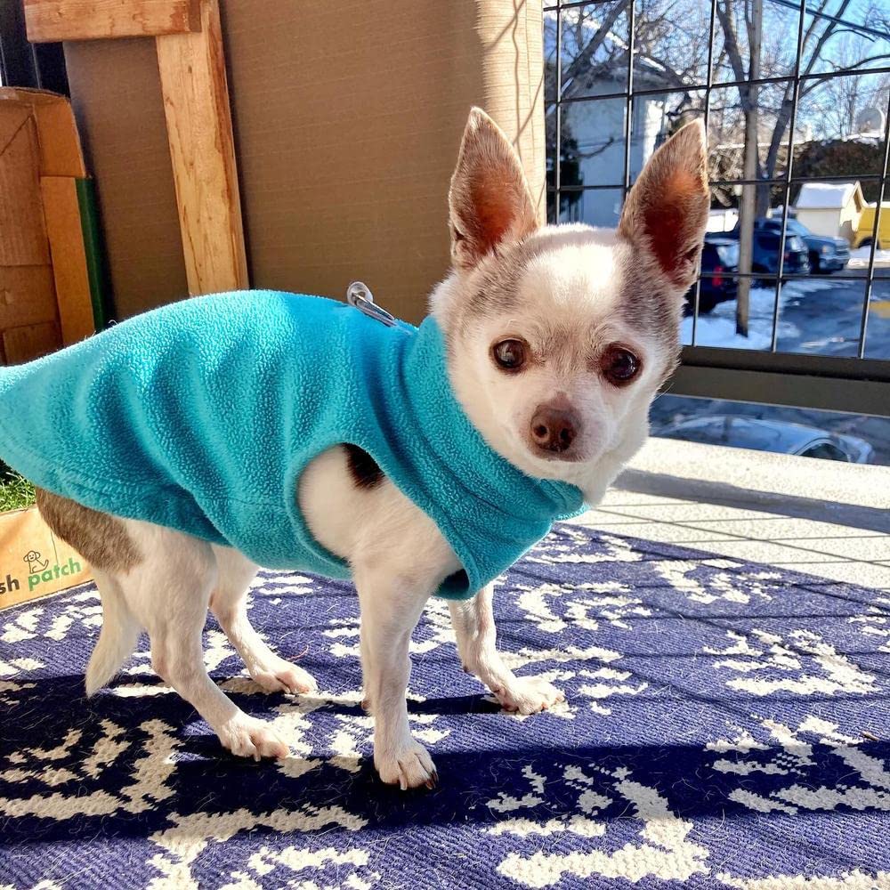 Gooby Fleece Vest Dog Sweater - Warm Pullover Fleece Jacket with O-Ring Leash for Small Dogs - Winter Dog Coat for Cold Weather - Turquoise X-Small - Perfect for Outdoor Walks and Indoor Comfort
