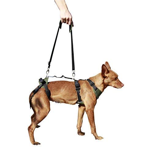 Ortocanis Full-Body Dog Harness for Fore and Hind Leg Support - Adjustable Pet Mobility Aid Vest for Small Dogs (Size S) - Ideal for Senior Dogs, Post-Surgery Recovery & Daily Walking Assistance