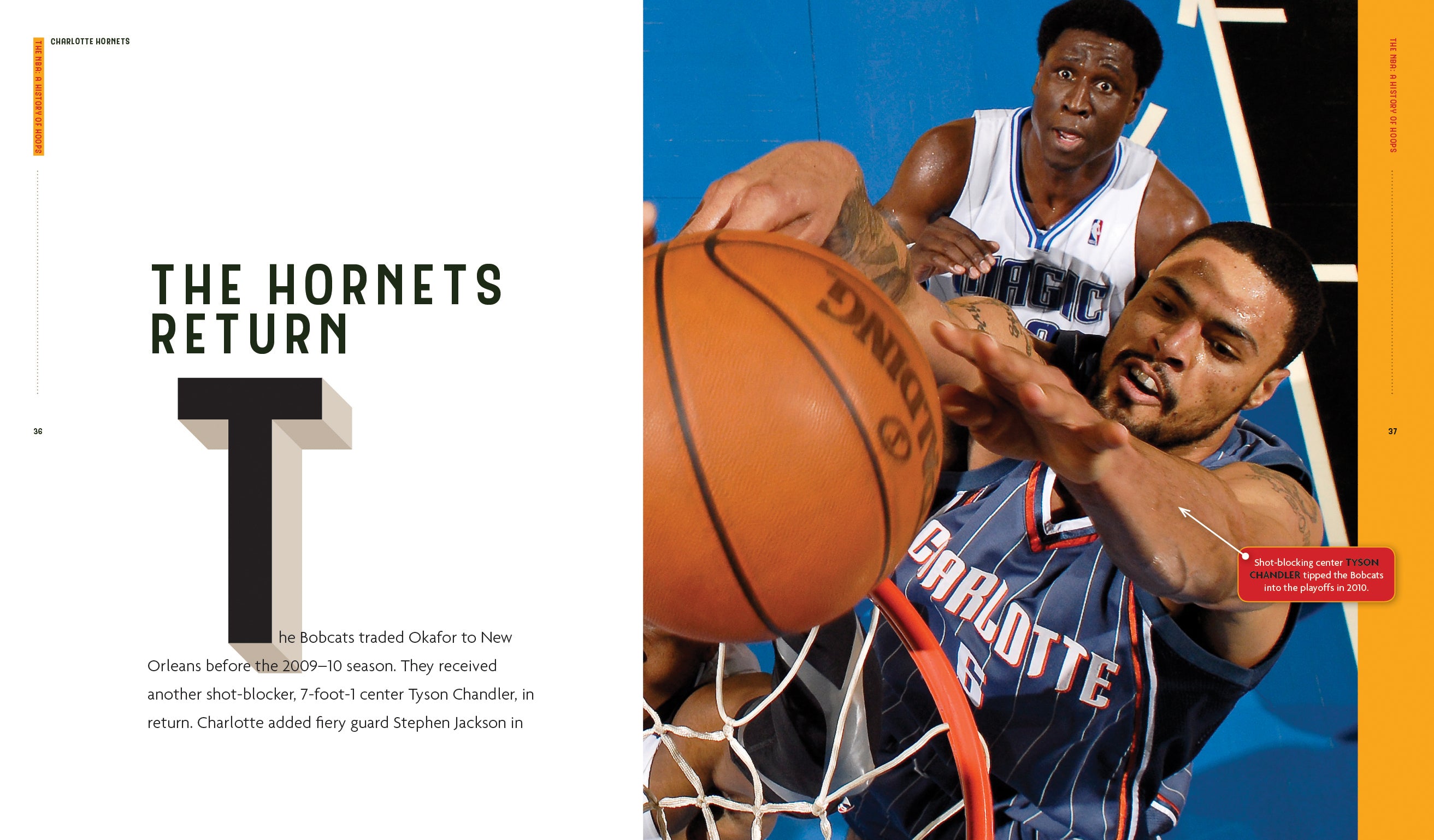 Charlotte Hornets NBA Jerseys - Official Michael Jordan Team Apparel for Men, Women & Kids - Perfect for Games, Parties & Fan Collections