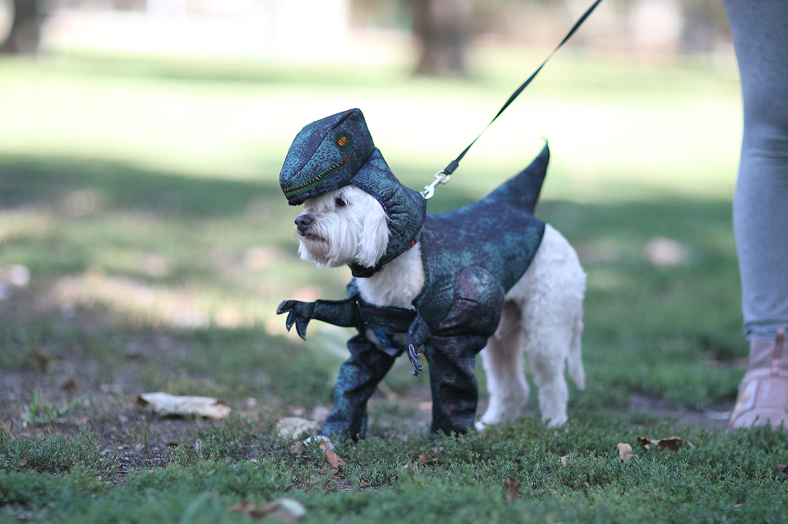 Pupasaurus Rex Dog Costume - X-Small | Cute Dinosaur Halloween Outfit for Small Dogs | Perfect for Halloween Parties & Pet Photo Shoots