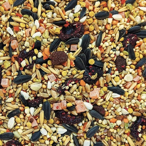 Premium Gourmet Seed Mix for Cockatiels - Nutrient-Rich Bird Food for Parrots & Small Birds - Perfect for Daily Feeding & Training Treats