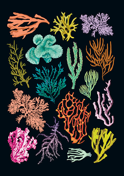 Art of Nature: Under the Sea Stitched Notebook Set (3-Pack) - Perfect for Journaling, Sketching & Gift Giving