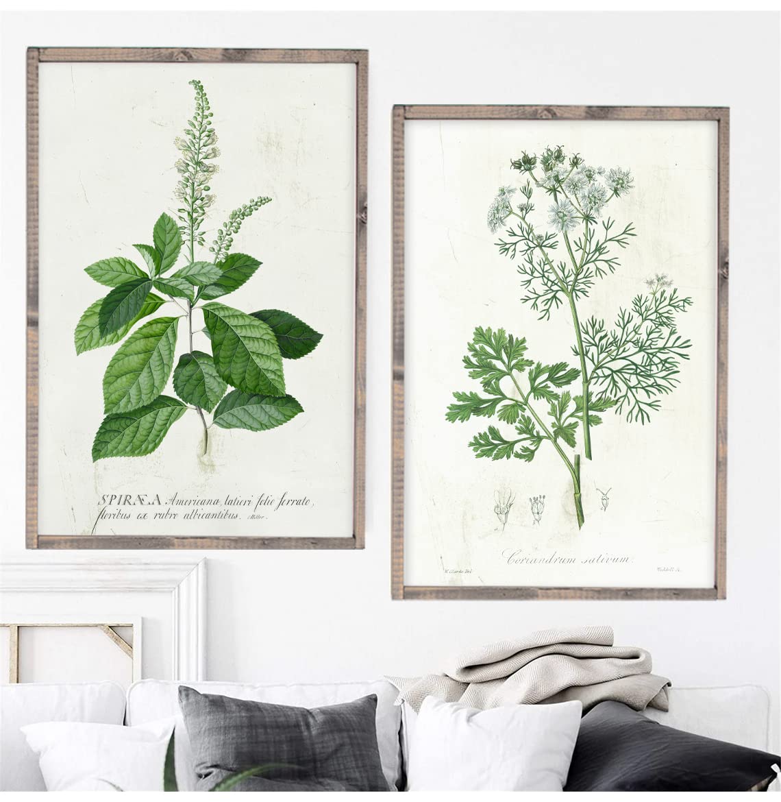 Vintage Botanical Wall Art - Rustic Wooden Framed Herb & Spice Print (Cinnamon, Coriander, Flowers) - 21