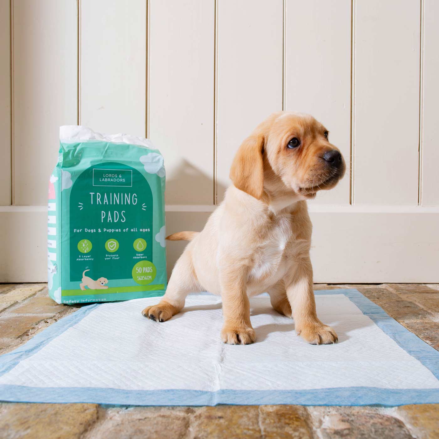 Premium Puppy Training Pads - Super Absorbent Leak Proof Triple Pack for Small & Large Dogs - Perfect for Housebreaking, Crate Training & Travel Use