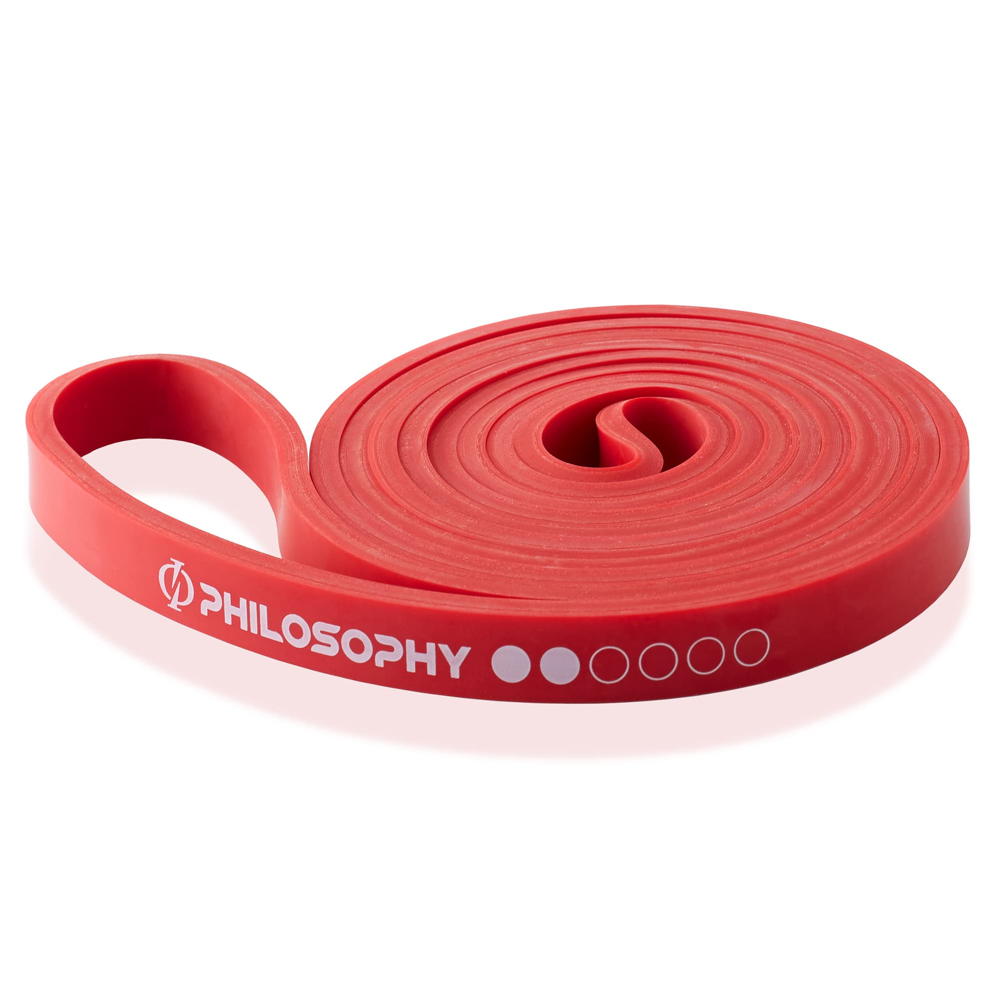 Philosophy Gym Pull Up Assist Band - Workout Resistance Bands for Home & Gym Training
