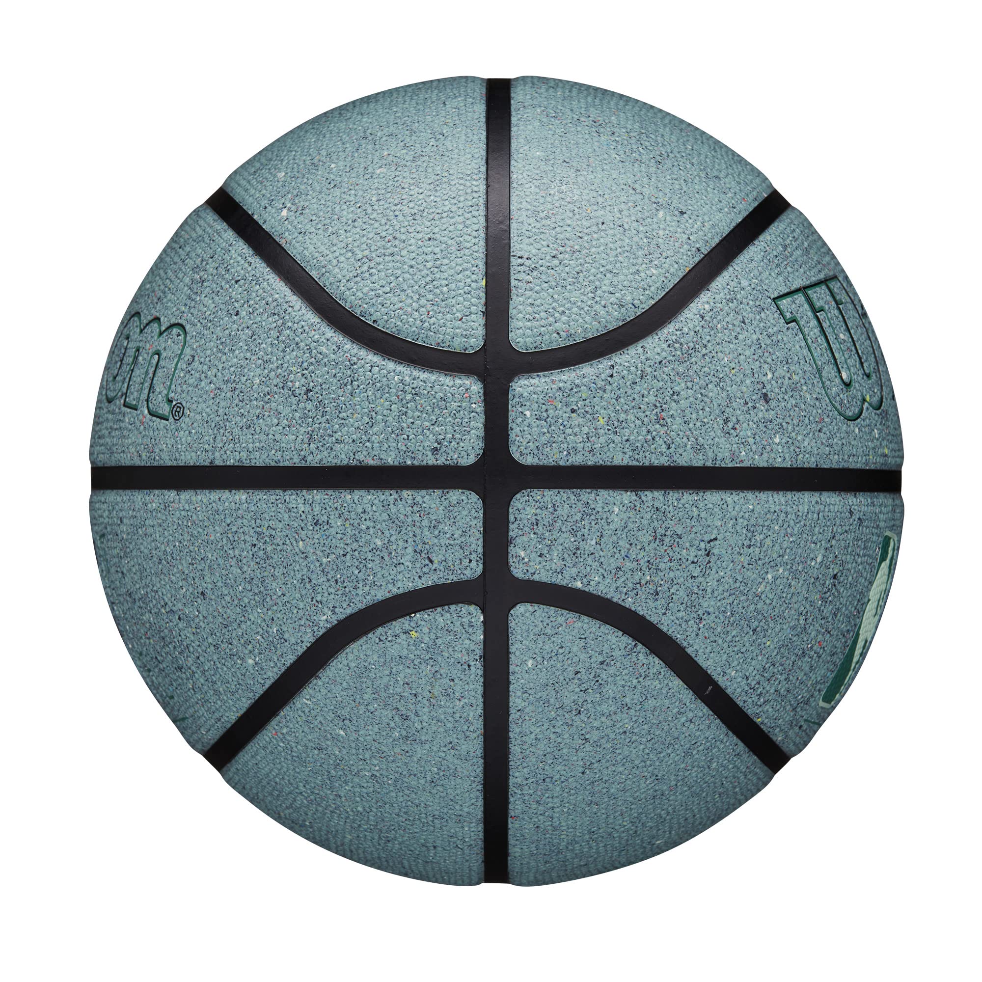 Wilson Basketballs - Premium for Indoor & Outdoor Play