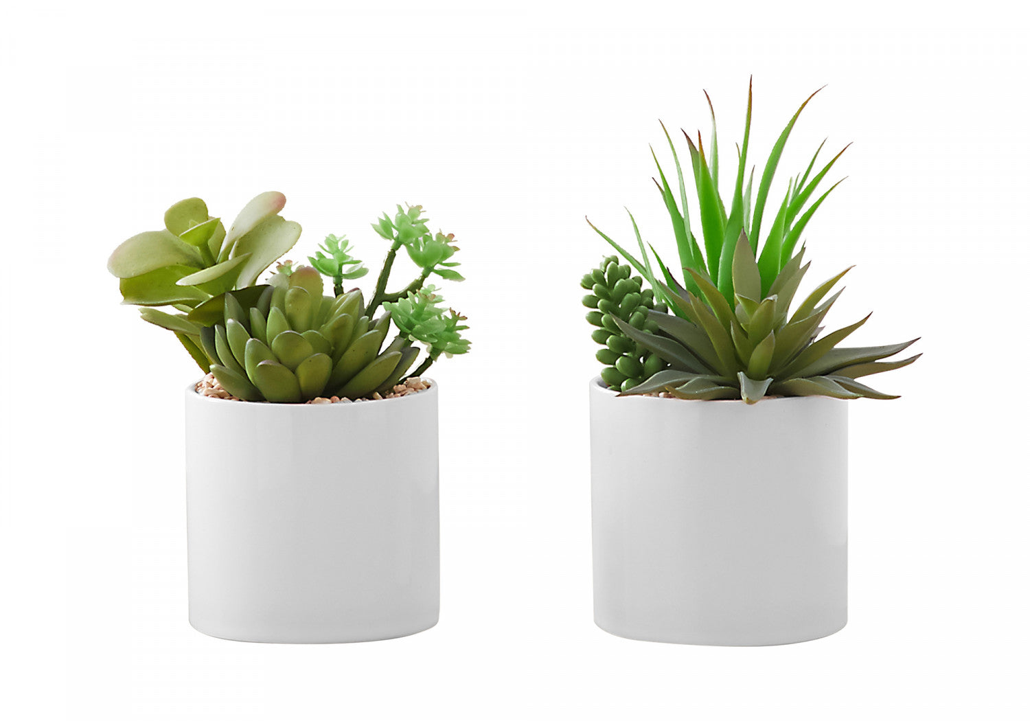 7 Succulent Plants with 3 White Pots - Green Indoor Garden Set of 2 | Perfect for Home Decor, Office Desk & Gift Giving