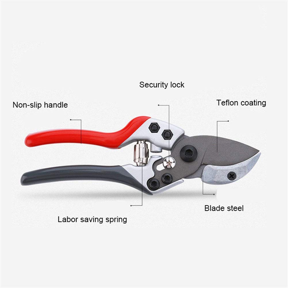 Premium Gardening Pruning Shears for Effortless Cutting - Heavy Duty Floral & Fruit Tree Branch Cutter - Perfect for Garden Trimming, Landscaping, and DIY Plant Care
