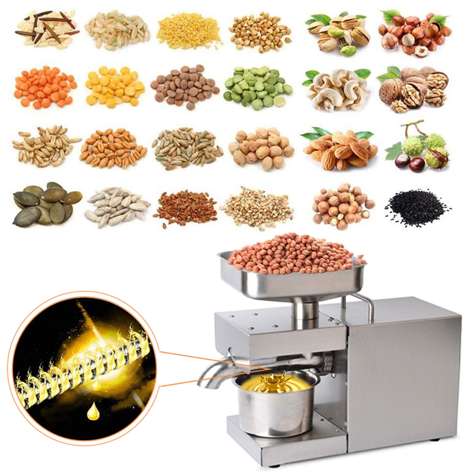 600W Stainless Steel Oil Press Machine for Home & Commercial Use - 304 Stainless Steel Oil Extractor for Olive, Peanut, Almond (110V US Plug) - Perfect for Healthy Cooking, DIY Essential Oils & Small Business Production