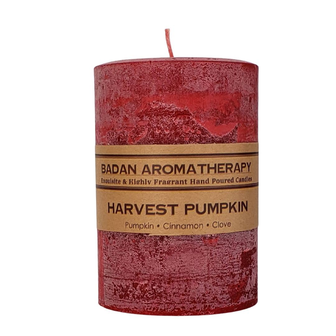 Harvest Pumpkin Cinnamon Clove Scented Pillar Candles - 3 Pack (4.5
